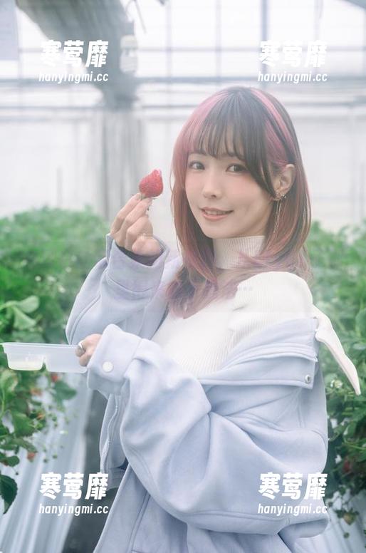 猫耳白丝带合集的新视野，从ElyEE子那里得来的小想法…