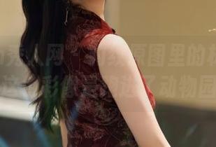 Xiuren秀人网 – 豹纹原图里的林星阑：这色彩像是跑进了动物园