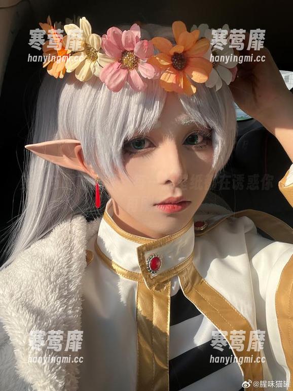 美脚与腥味猫罐：每一张壁纸都在诱惑你再刷新