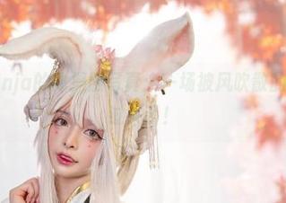 阿寨寨ninja的体操服写真：一场被风吹散的梦，认真过头了！